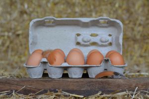 Höfers frische Landeier braun 10 STK