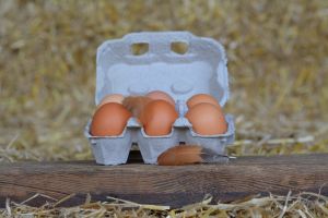 Höfers frische Landeier braun 6 STK