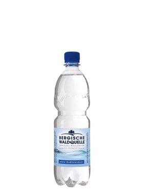 Natur PET 0,5 Liter