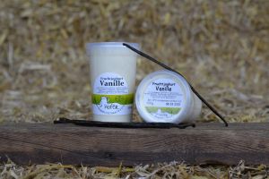 Höferghurt Vanille 200g