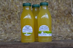 Höfers Fruchtmolke Tropic 500ml